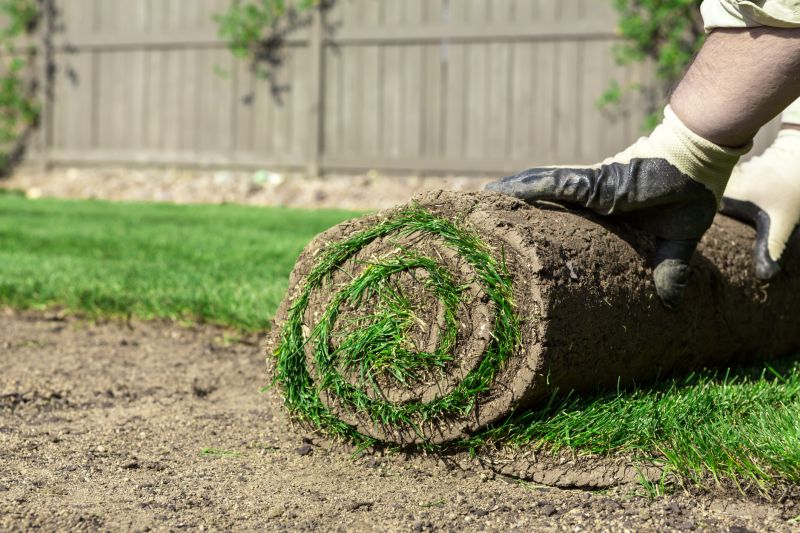 Sod Planting