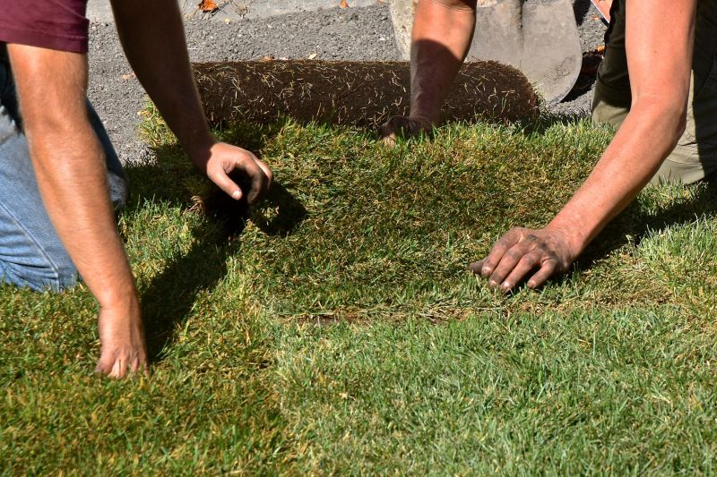 Sod Laying Service