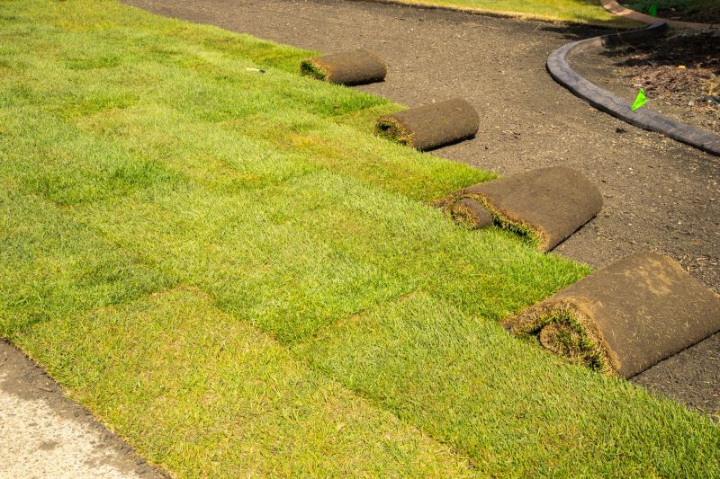Sod Planting detail