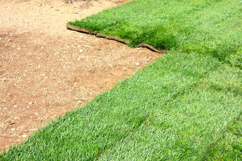 Sod Laying Service