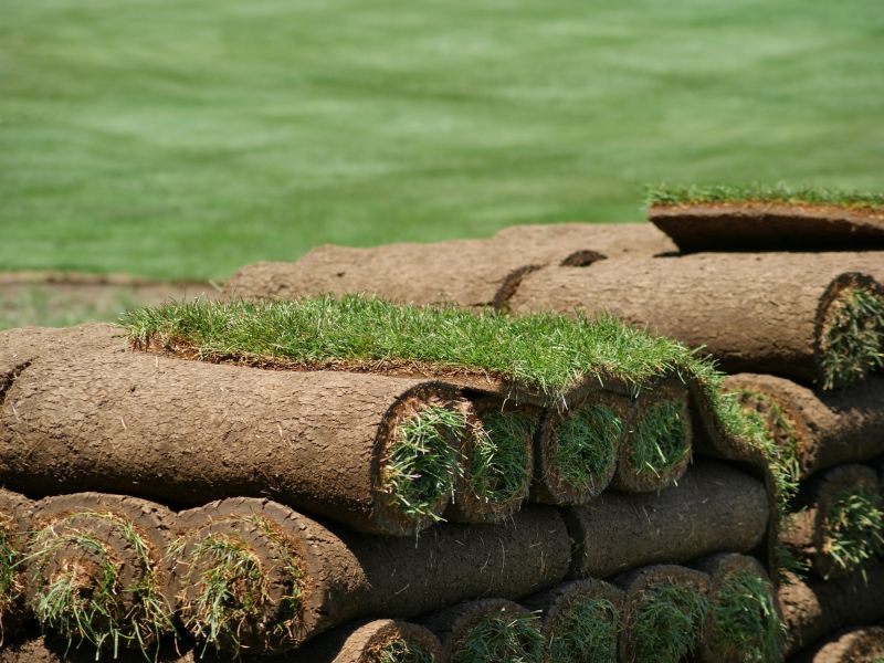 Sod Planting