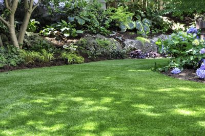 Install Fresh New Grass Without Having To Wait For it To Grow!